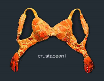 Crustacan II