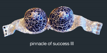 Pinnacles of Success
