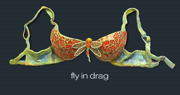 Fly In Drag SOLD